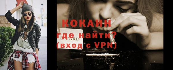 ПСИЛОЦИБИНОВЫЕ ГРИБЫ Осташков