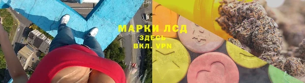 ПСИЛОЦИБИНОВЫЕ ГРИБЫ Осташков
