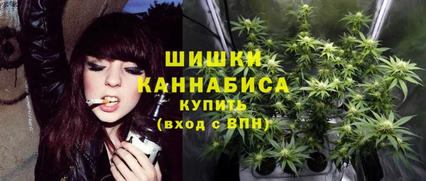 ПСИЛОЦИБИНОВЫЕ ГРИБЫ Остров
