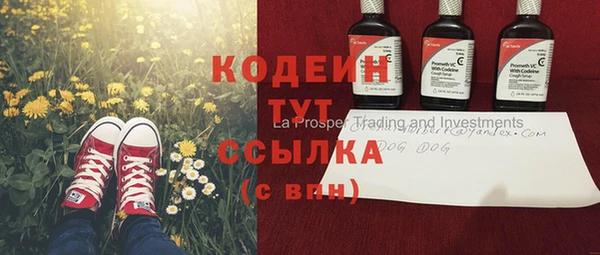 ПСИЛОЦИБИНОВЫЕ ГРИБЫ Осташков