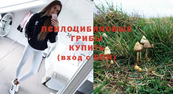 дживик Чита