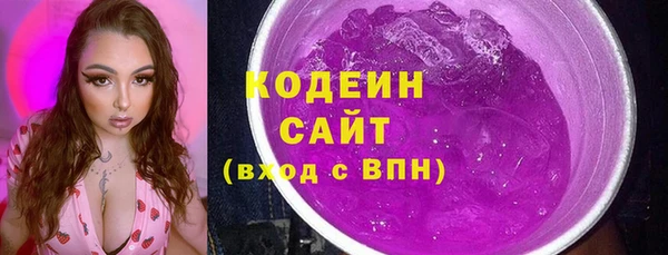 дживик Чита