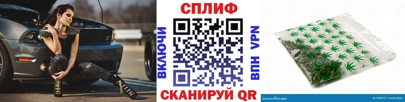 Конопля гибрид  Ардатов 